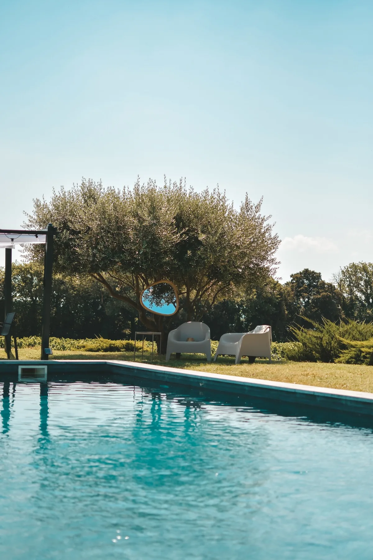 Piscine et olivier face aux espaces de détente