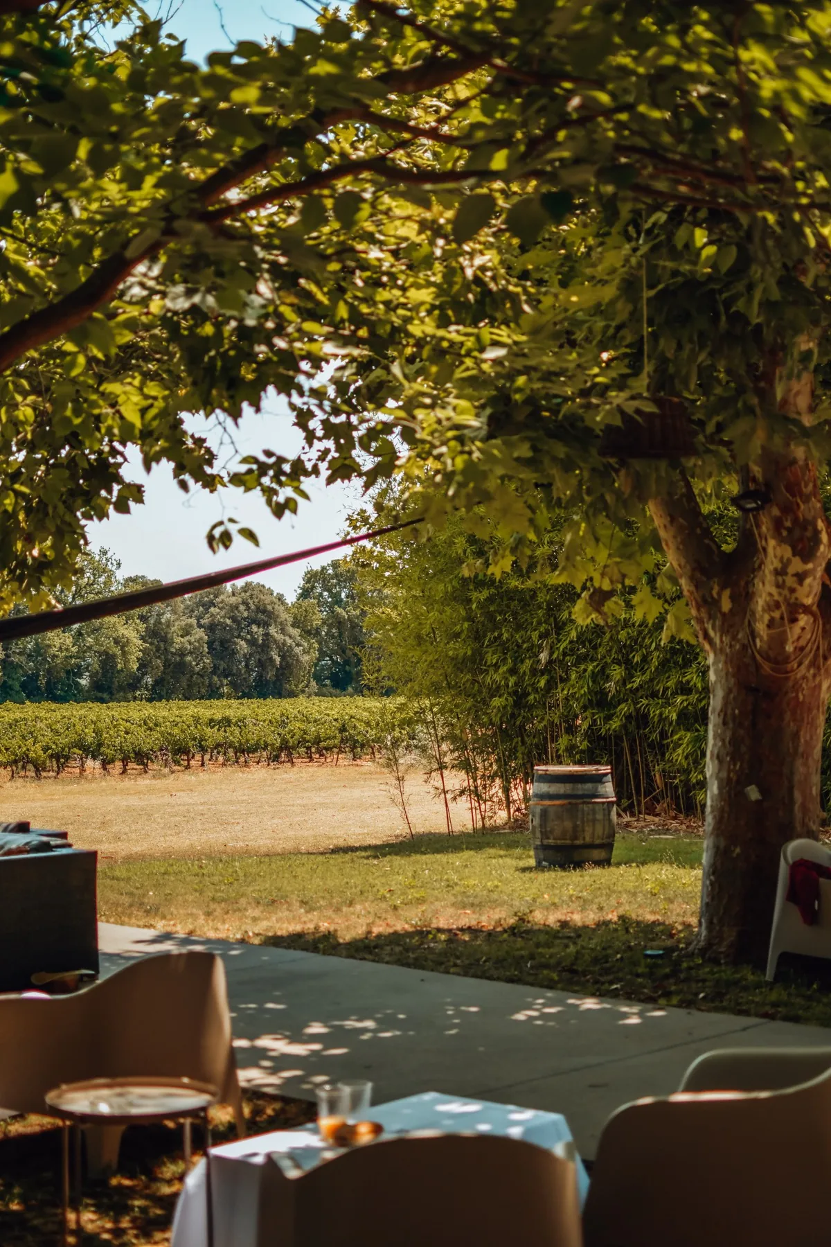 Terrasse ombragée ouverte sur les vignes et la nature